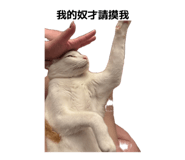 842387692