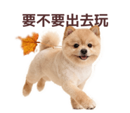 842388145