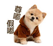 842388146