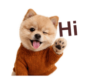 842388151