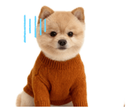 842388156