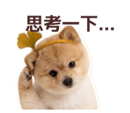 842388158