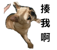 842388182