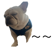 842388184