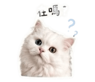 842388234