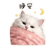 842388236