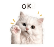 842388241