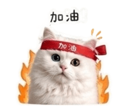 842388250
