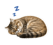 842388268