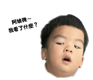 842388273