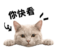 842388408