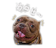 842388481