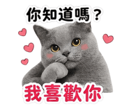 842388538