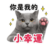 842388541