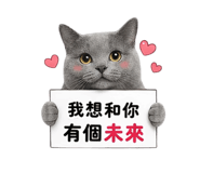 842388544