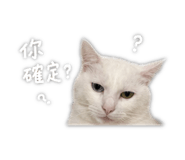 842388774