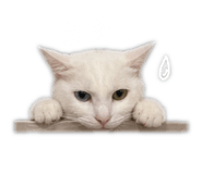 842388776