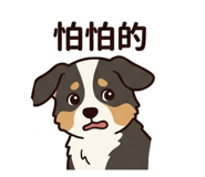 842388954
