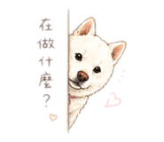 842388977