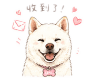 842388981