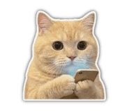 842389029