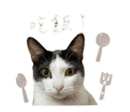 842389058