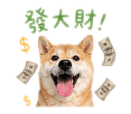 842389133