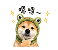 842389142