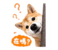 842389143