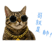 842389174