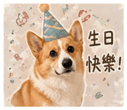 842389322