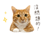 842389835