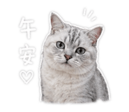 842389874