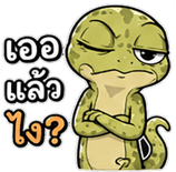 842391690