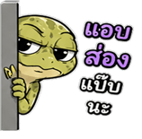 842391706