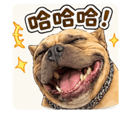 842392027
