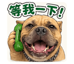 842392032