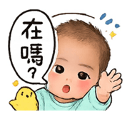 842393001