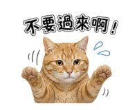842393049