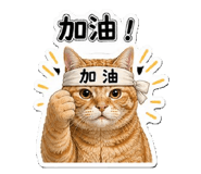 842393054