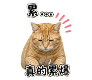 842393067