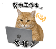 842393068