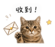 842393102