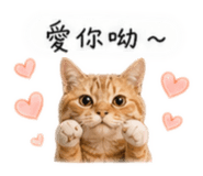 842393105