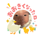 842393267
