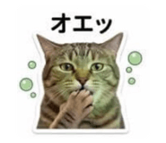 842393502