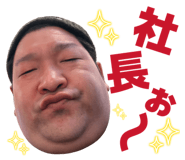 842393523