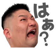 842393529