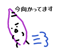 842393546
