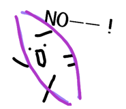 842393553
